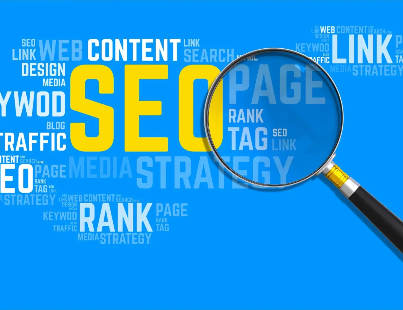 Seo Infographic